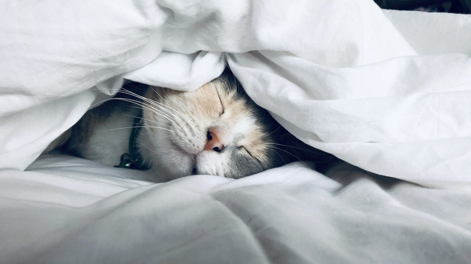 Clock beside a bed at dawn
